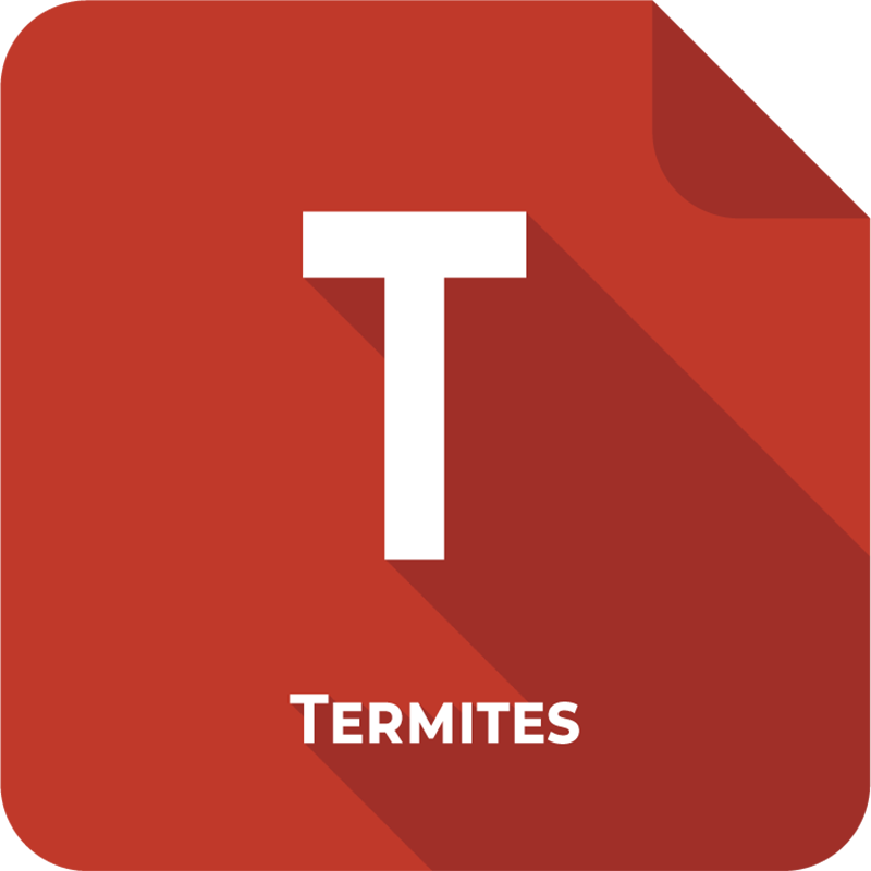 Diagnostic Termites