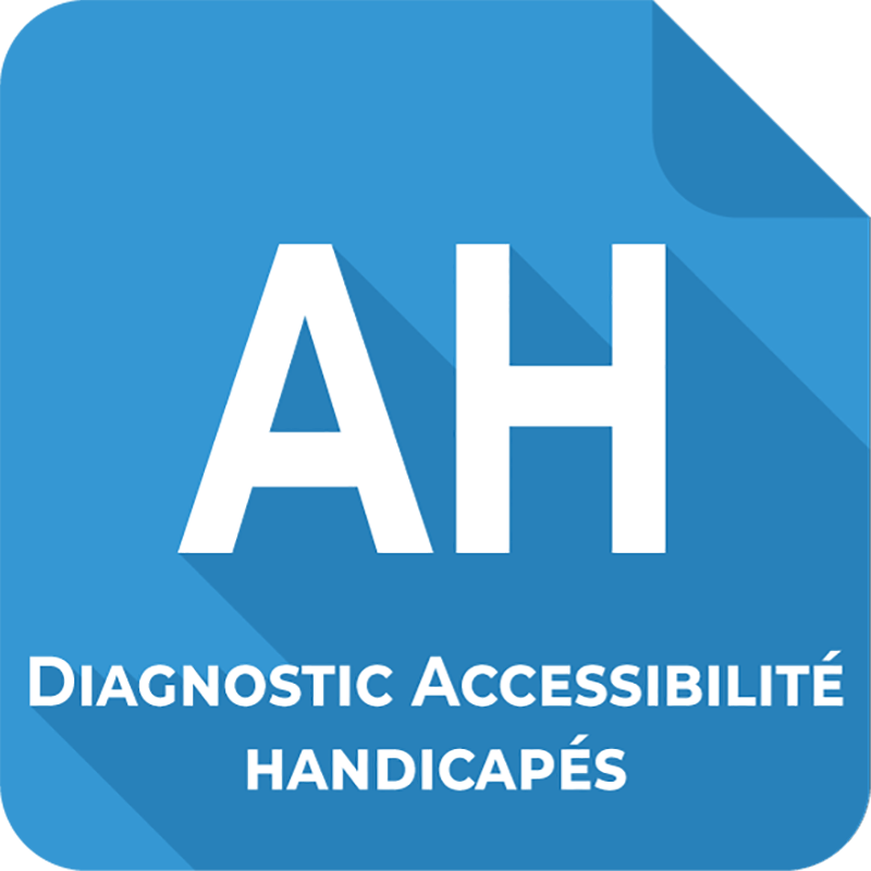 Diagnostic Accessibilité