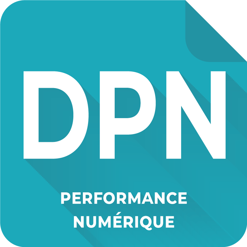 Diagnostic de Performance Numérique