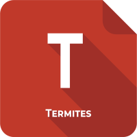 Diagnostic Termites Colmar