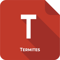 Diagnostic Termites Nice