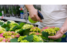 Comment bien doser de l’engrais liquide pour des plantes en pleine forme ?