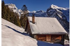 Comment utiliser les diagnostics immobiliers sur un chalet ?