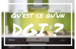 QU'EST CE QU'UN DGI ?