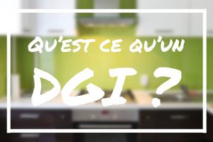 QU'EST CE QU'UN DGI ?