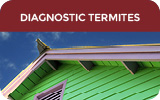 Diagnostic immobilier Termites