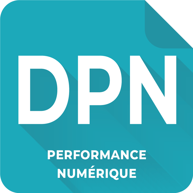 Diagnostic de performance numérique - DPN
