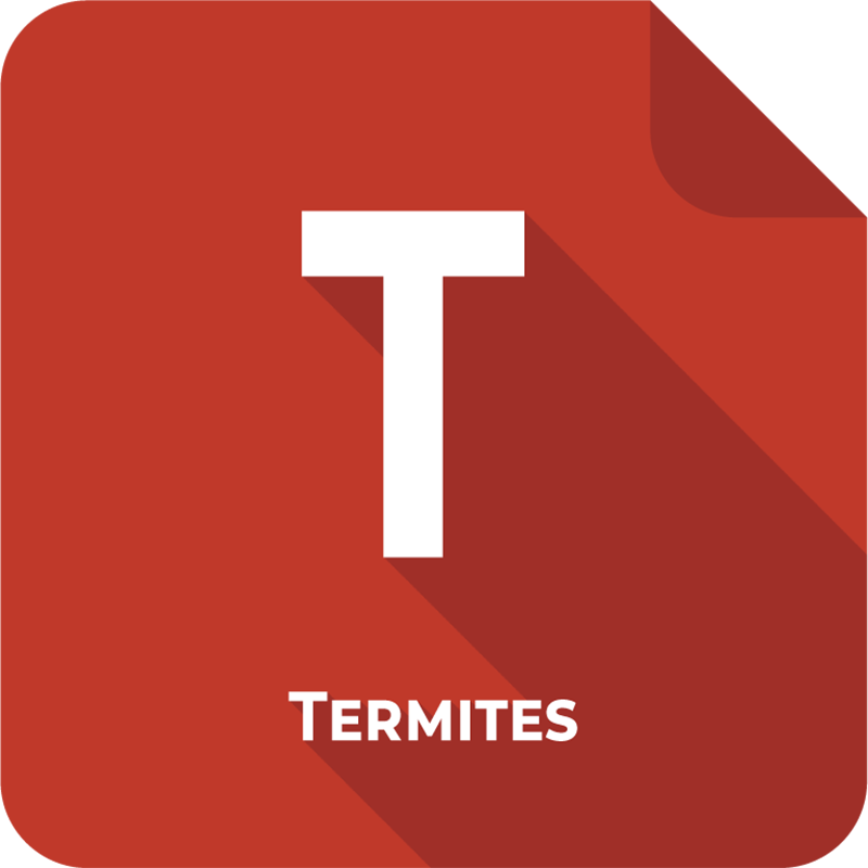 Diagnostic Termites