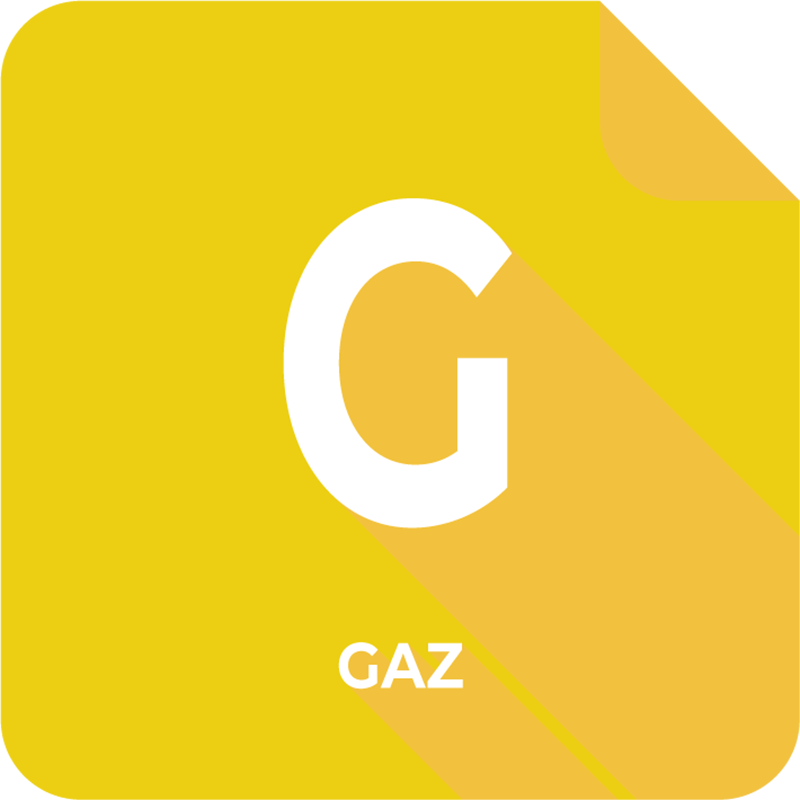 Diagnostic Gaz